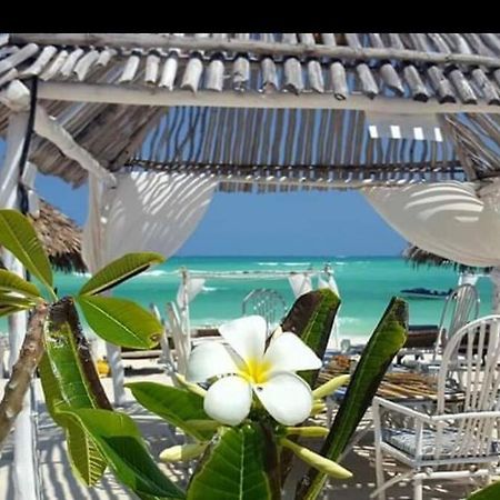 Luxury Simba House In Watamu ☆☆☆☆☆ Daire Dış mekan fotoğraf