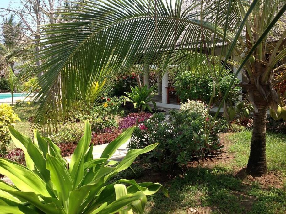 Luxury Simba House In Watamu ☆☆☆☆☆ Daire Dış mekan fotoğraf