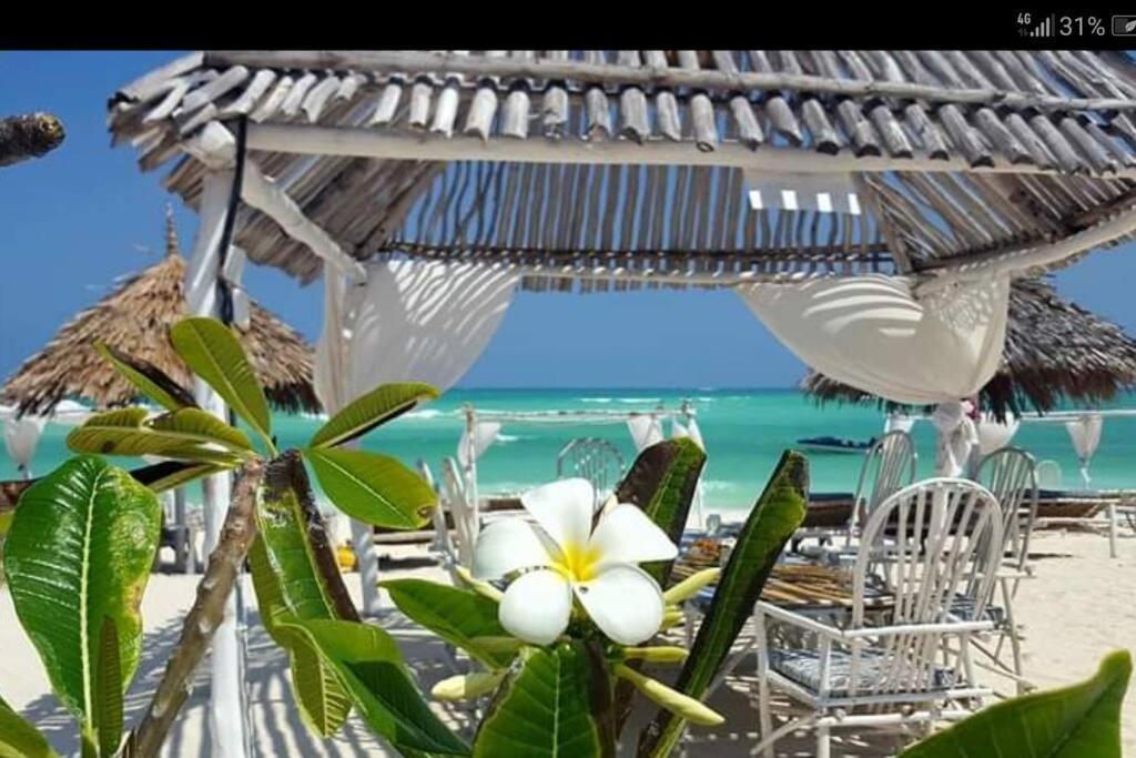 Luxury Simba House In Watamu ☆☆☆☆☆ Daire Dış mekan fotoğraf